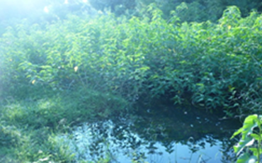 Flood Risk 2